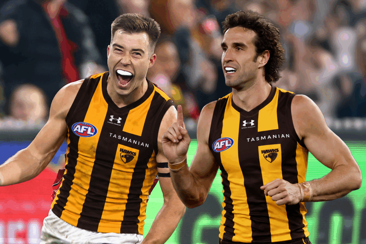 Article image for Matthew Lloyd makes BIG call on Hawthorn’s 2027 premiership hopes
