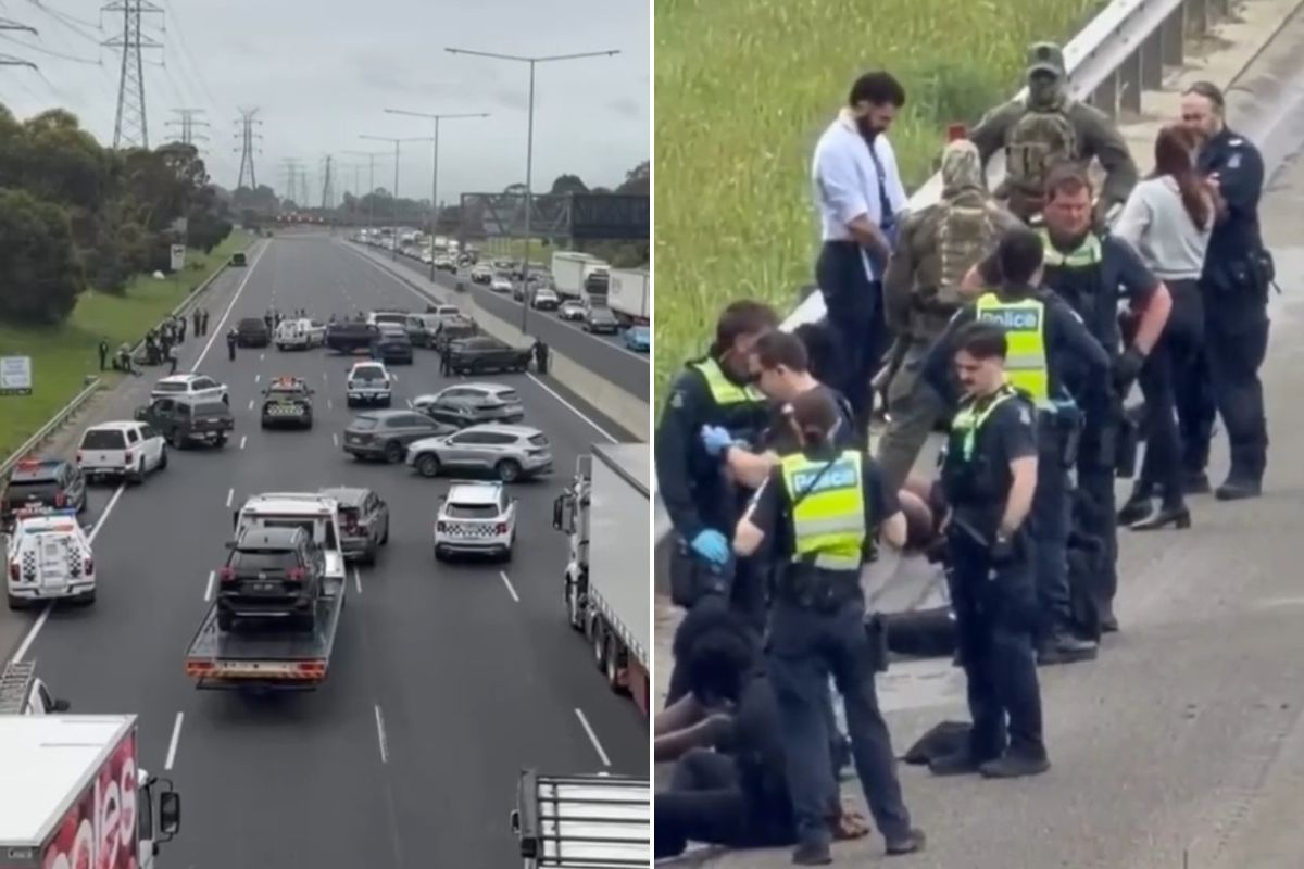 Article image for Eyewitnesses detail wild police chase on the Monash Freeway